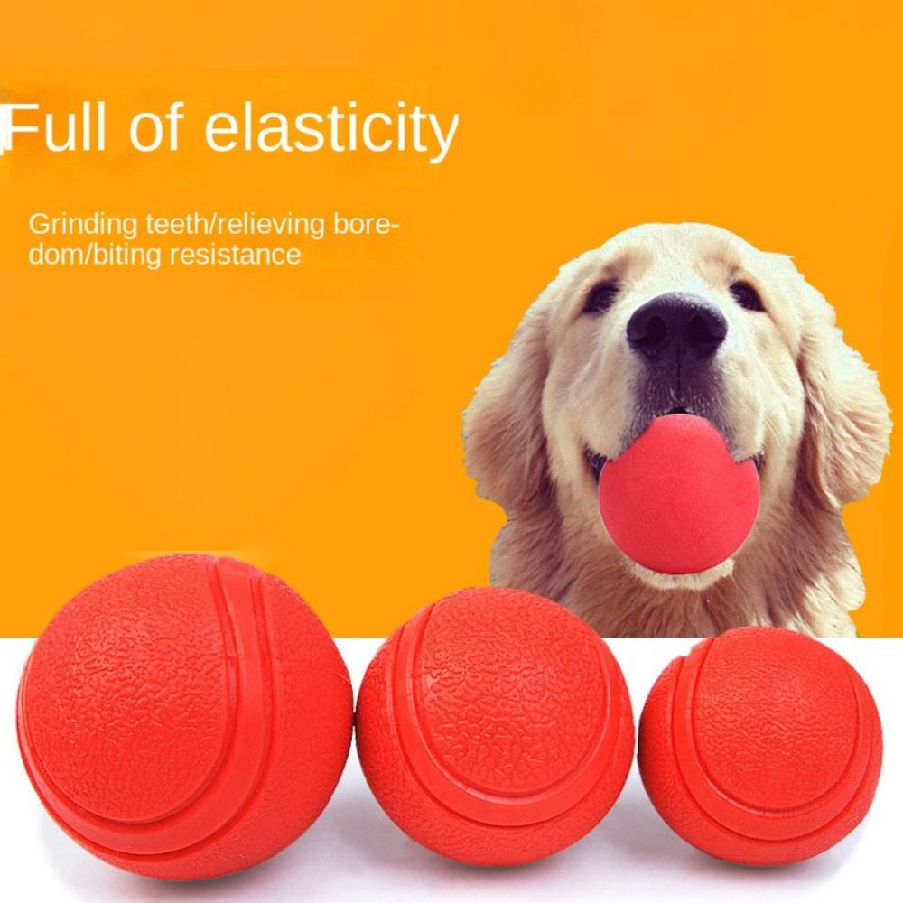 Indestructible Dog Chew Toy - ลูกบอลยางแข็งฝึกสุนัขลูกบอลเด้งฟันกรามลูกบอลป้องกันการกัดไม่เป็นพิษของเล่นสัตว์เลี้ยง
