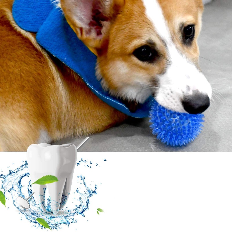 ของเล่นลูกบอลสำหรับสัตว์เลี้ยง - Interactive Squeaky Plush Dog Toy บทวิจารณ์และราคา