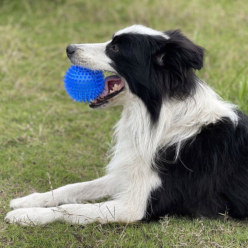 ของเล่นลูกบอลหนาม TPR สำหรับสั - Interactive Squeaky Plush Dog Toy บทวิจารณ์และราคา
