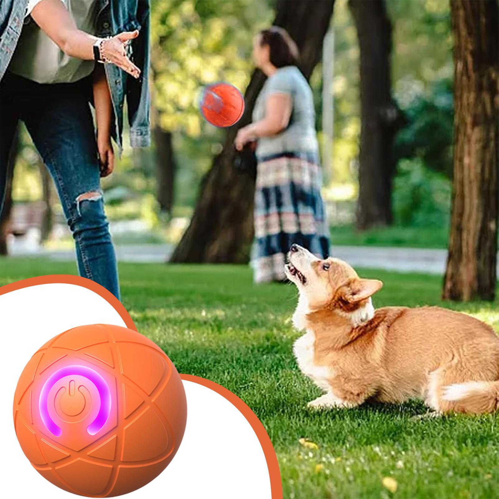 ของเล่นสุนัขอัจฉริยะแบบโต้ตอบไ - Automatic Moving Dog Ball บทวิจารณ์และราคา