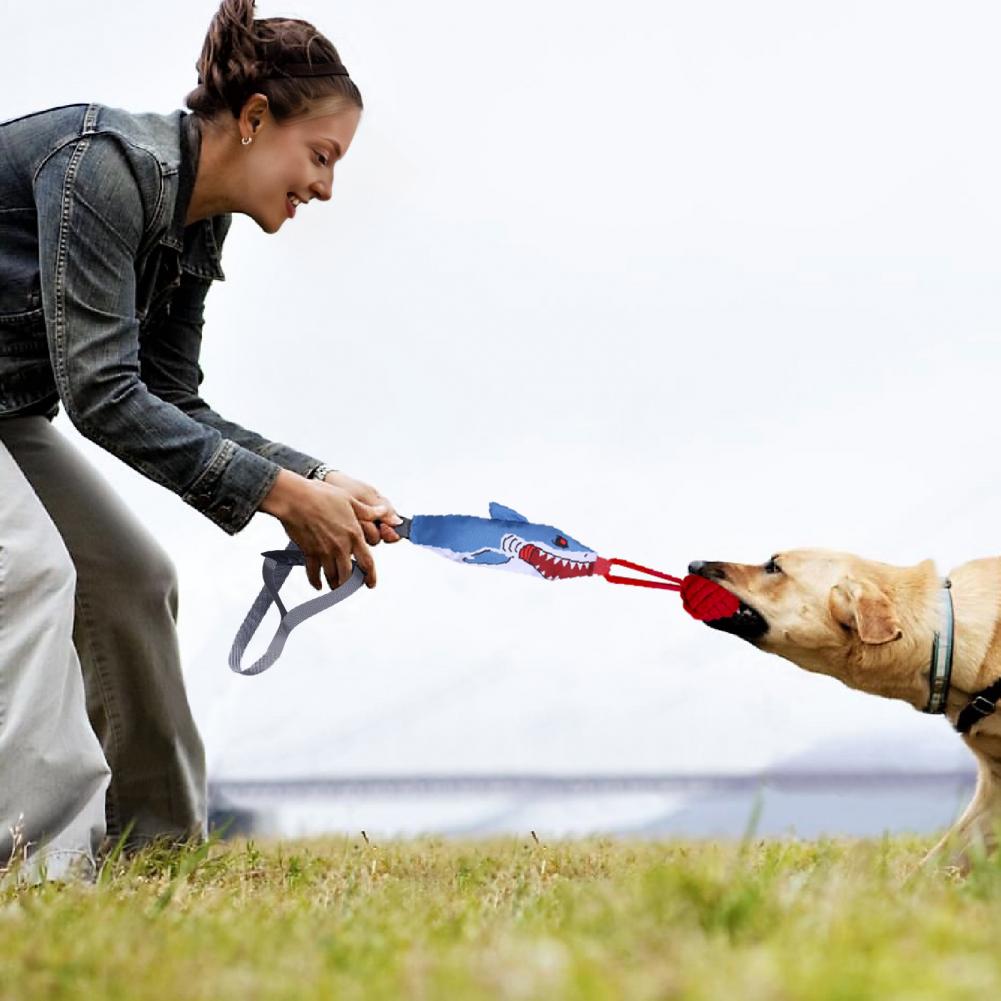 ของเล่นเชือกดึงรูปฉลามพร้อมถ้ว - Suction Cup Dog Tug Toy บทวิจารณ์และราคา
