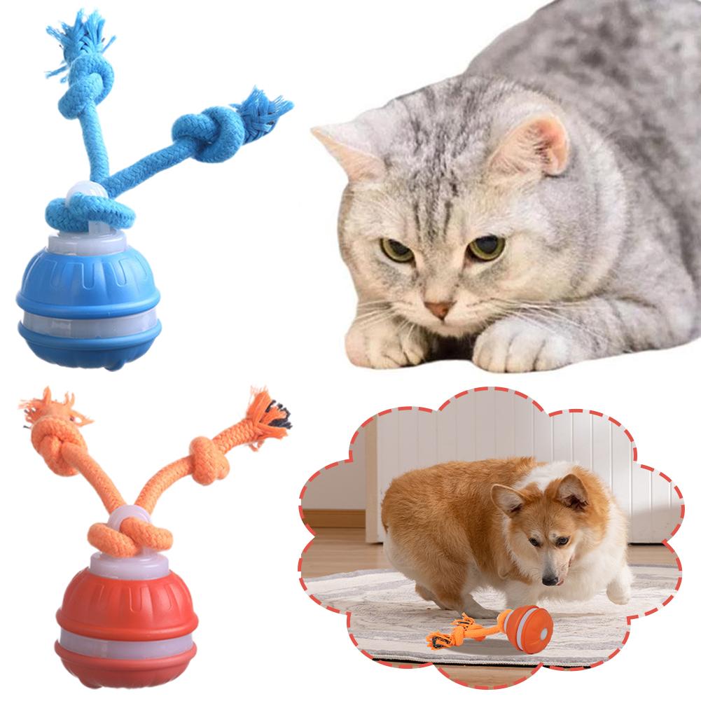 ลูกบอลสุนัขอัจฉริยะแบบชาร์จไฟไ - Automatic Moving Dog Ball บทวิจารณ์และราคา