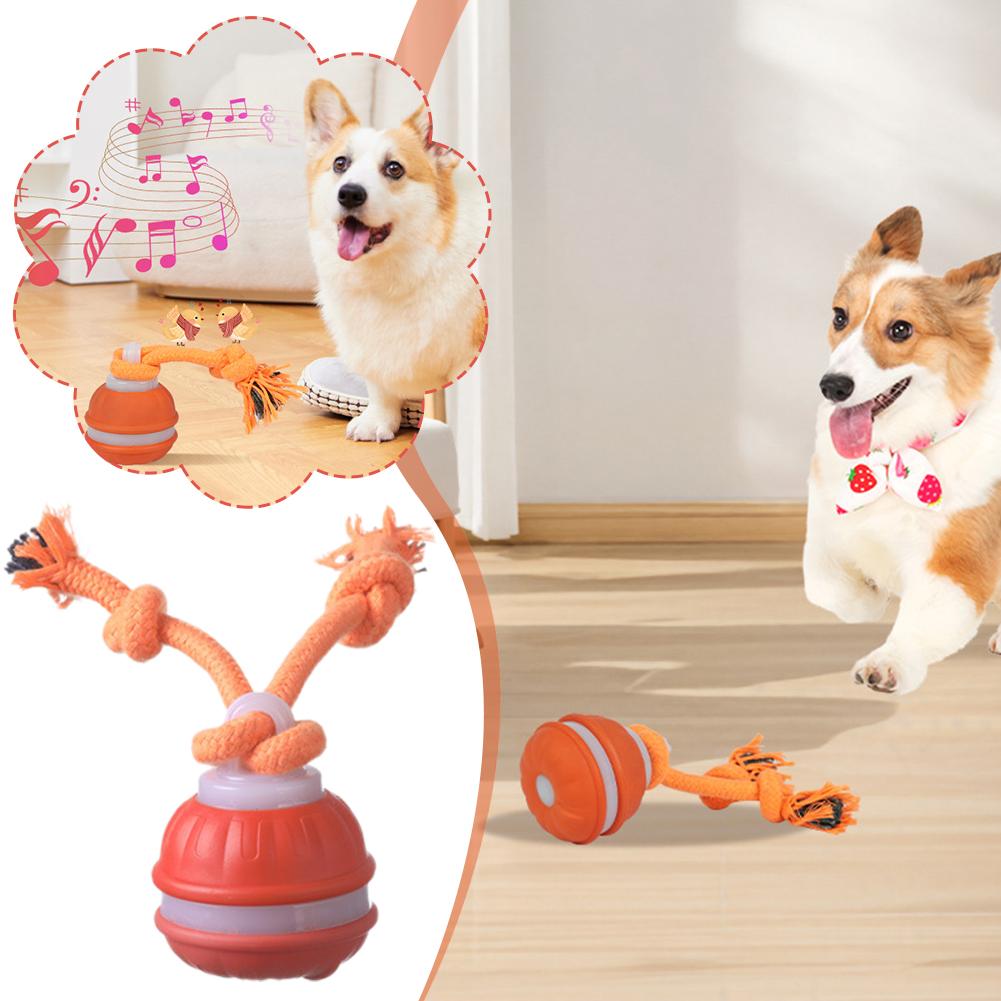 ลูกบอลสุนัขอัจฉริยะแบบชาร์จไฟไ - Automatic Moving Dog Ball บทวิจารณ์และราคา