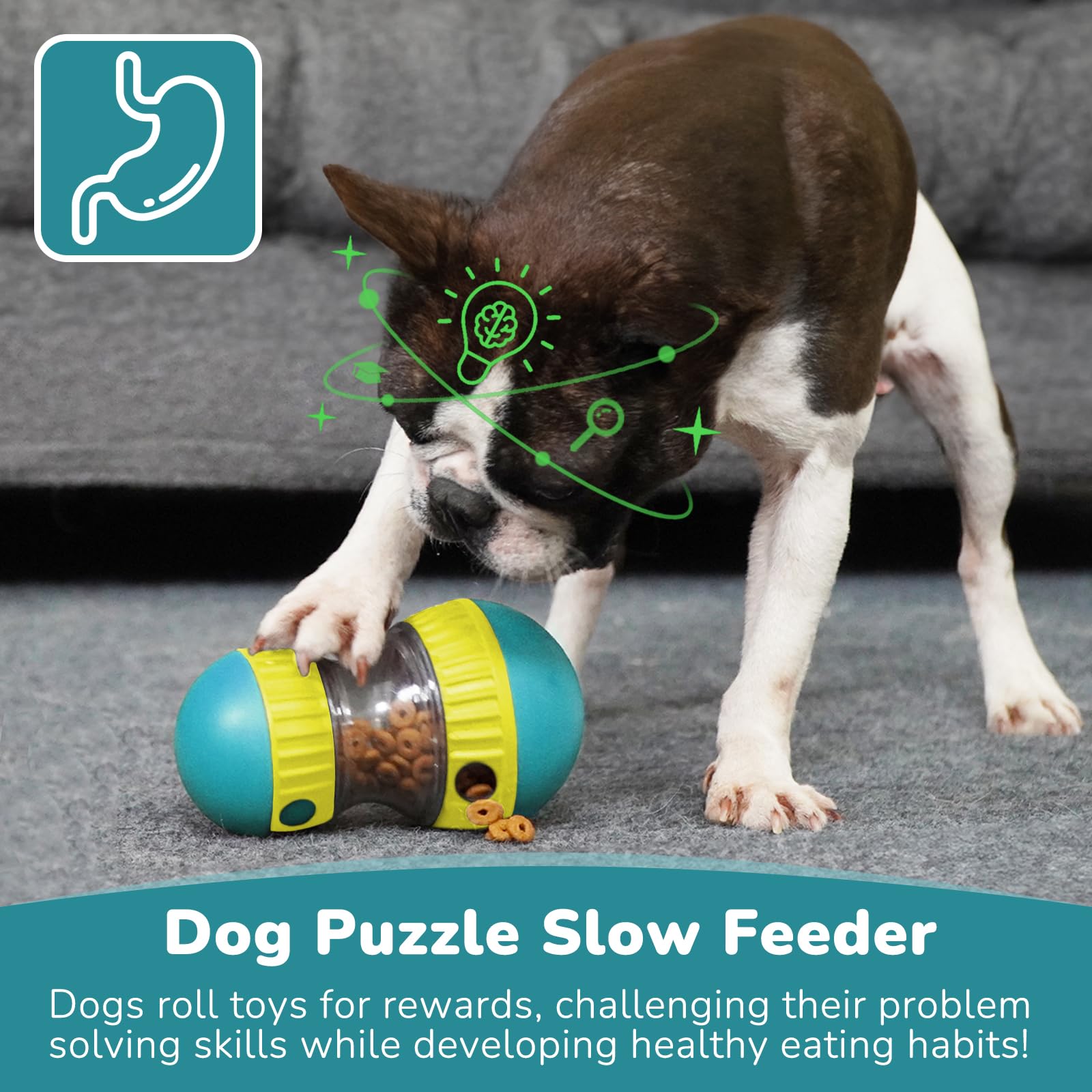 ของเล่นสุนัขและลูกบอลให้อาหารแ - Dog Puzzle Feeder Toy บทวิจารณ์และราคา