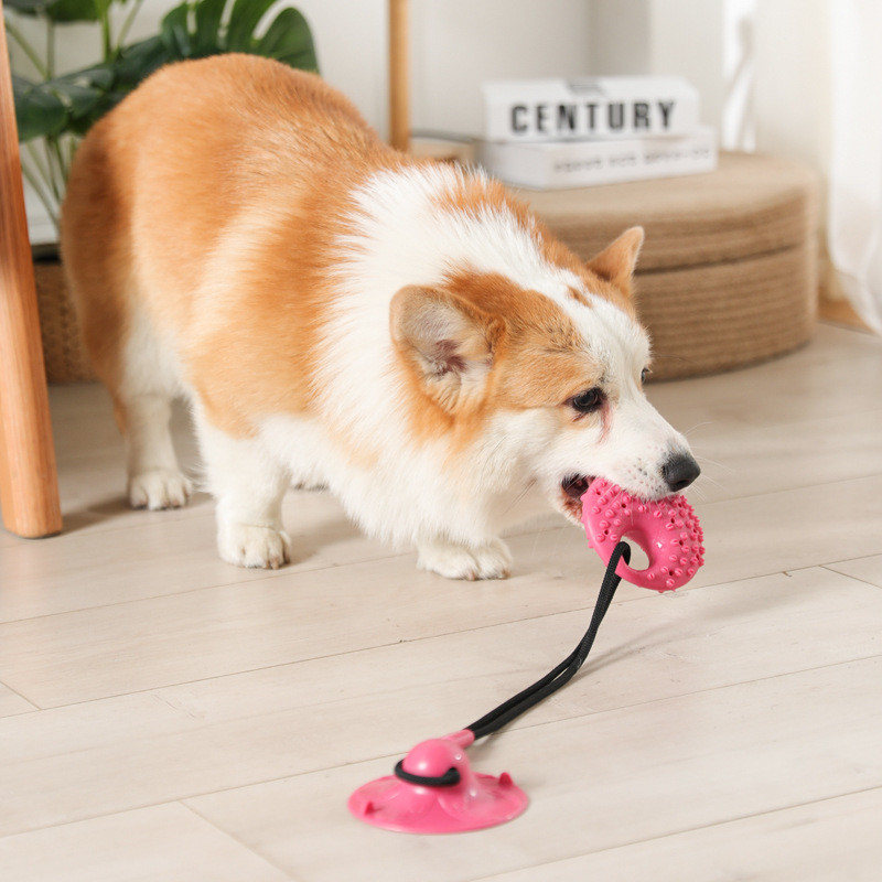 ของเล่นสุนัขถ้วยดูดซิลิโคนลากจ - Suction Cup Dog Tug Toy บทวิจารณ์และราคา