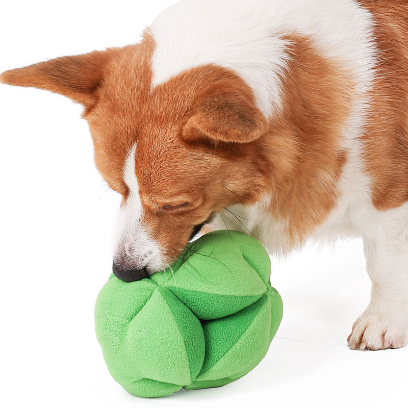 ของเล่นฝึกสมองสุนัขรูปบรอกโคลี - Dog Puzzle Feeder Toy บทวิจารณ์และราคา