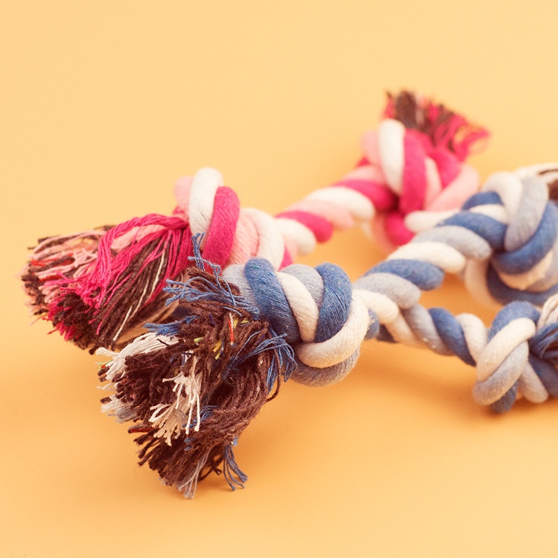 ของเล่นสุนัข เชือกฝ้ายกัดไม่ขา - Interactive Squeaky Plush Dog Toy บทวิจารณ์และราคา