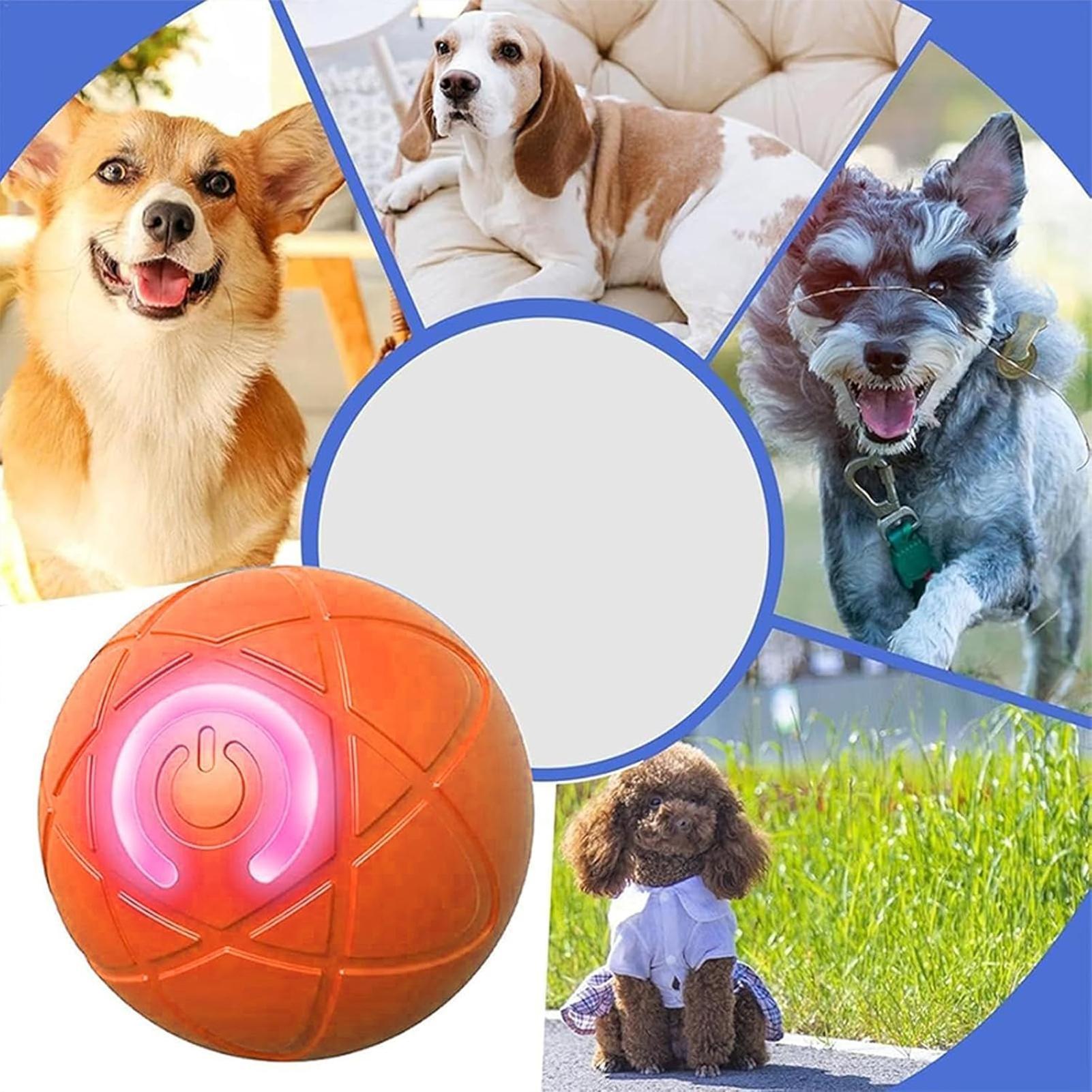 ของเล่นสุนัขอัจฉริยะ ลูกบอลอิเ - Automatic Moving Dog Ball บทวิจารณ์และราคา