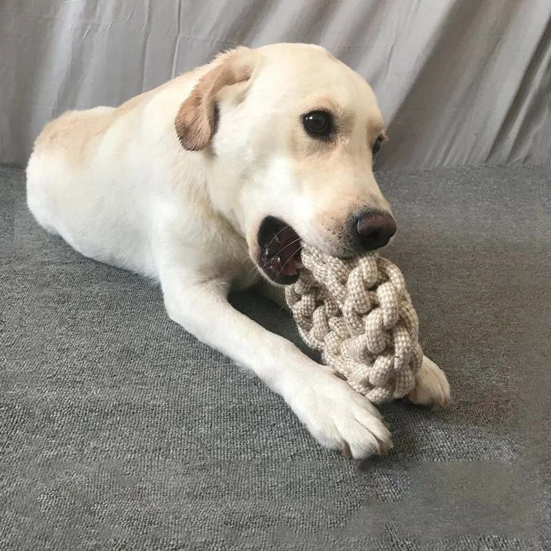 ของเล่นเชือกสำหรับแมวและสุนัข  - Snuffle Mat For Dogs บทวิจารณ์และราคา