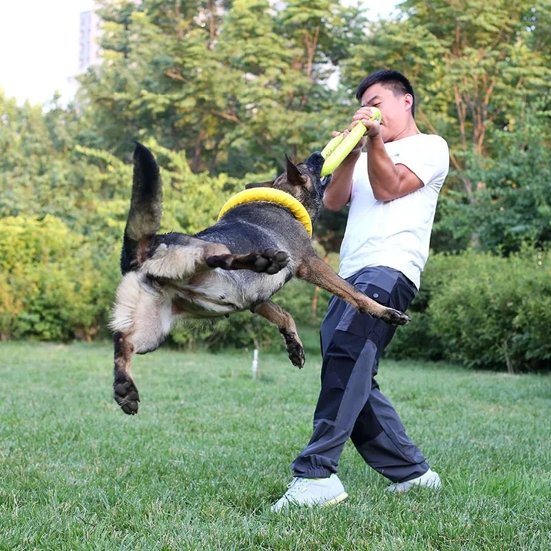 ของเล่นสุนัข จานร่อน EVA ของเล - Flying Disc Dog Training Toy บทวิจารณ์และราคา