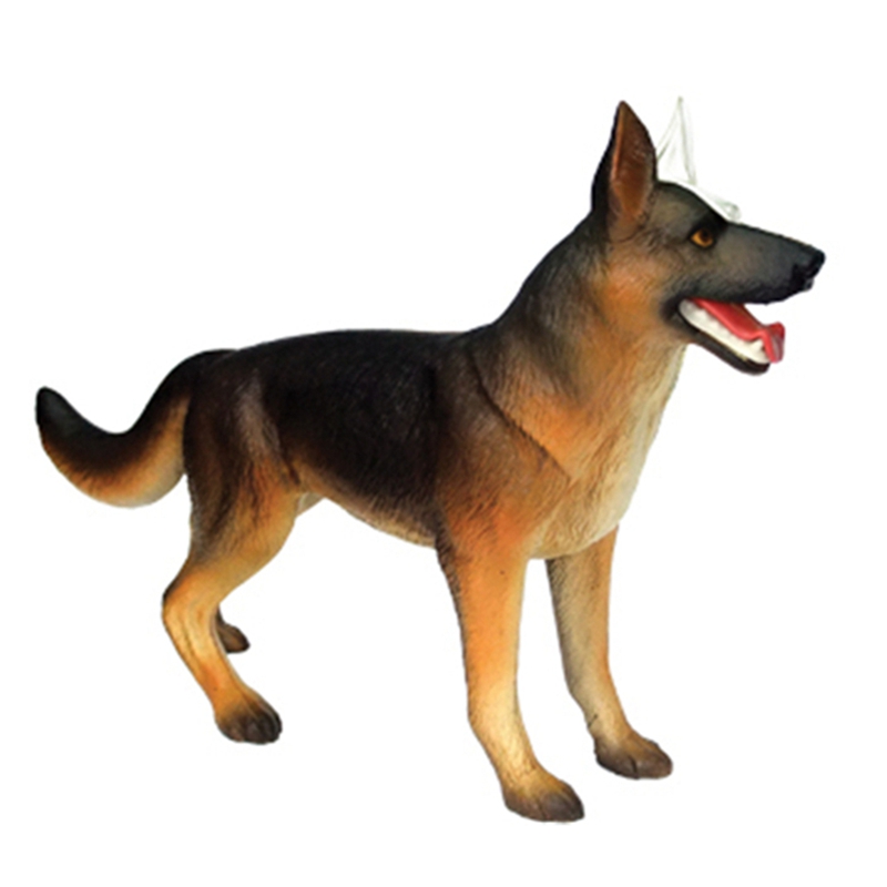 แบบจำลองกายวิภาคของสัตว์ 4D สุ - Dog Toys บทวิจารณ์และราคา