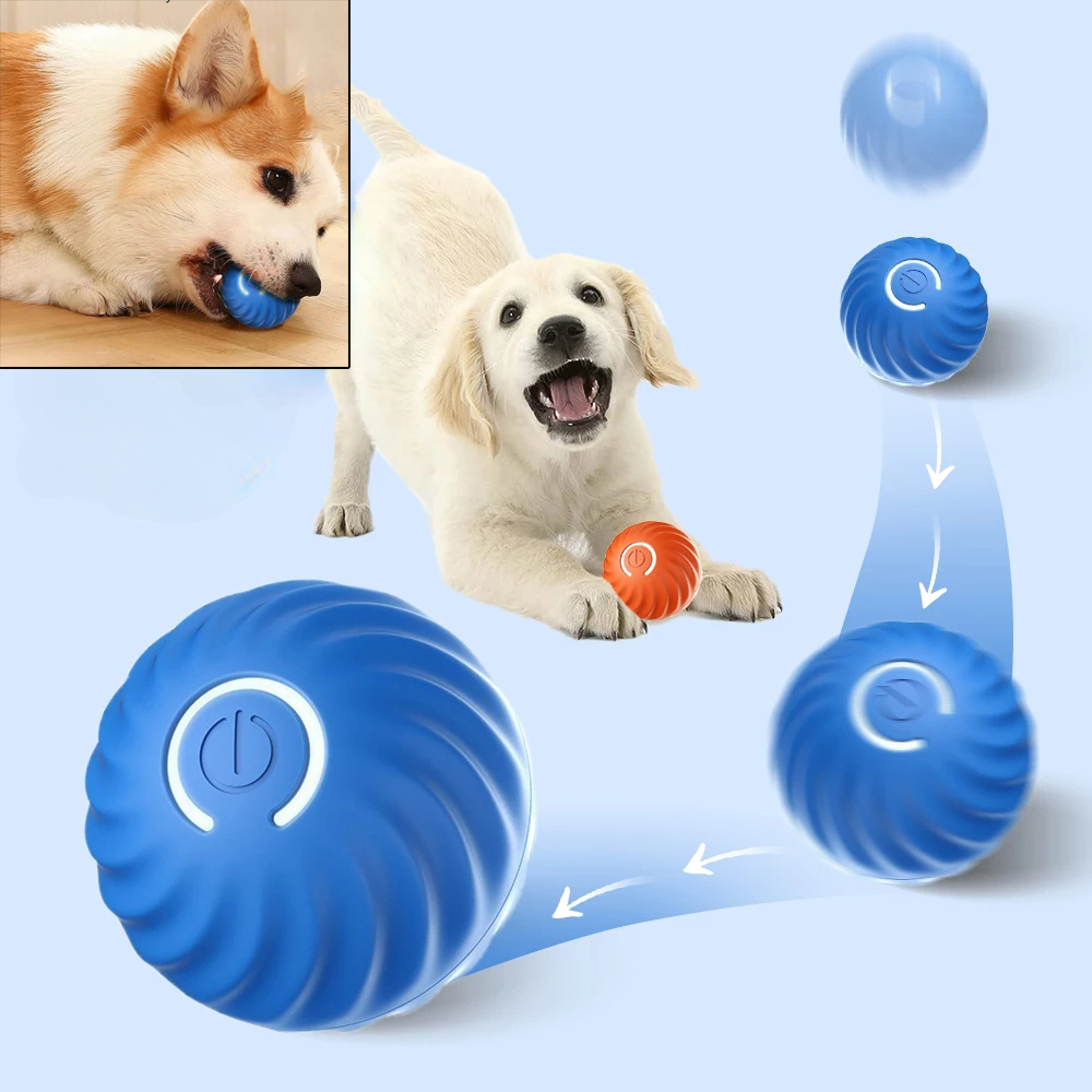 ของเล่นลูกบอลเคลื่อนที่อัตโนมั - Automatic Moving Dog Ball บทวิจารณ์และราคา
