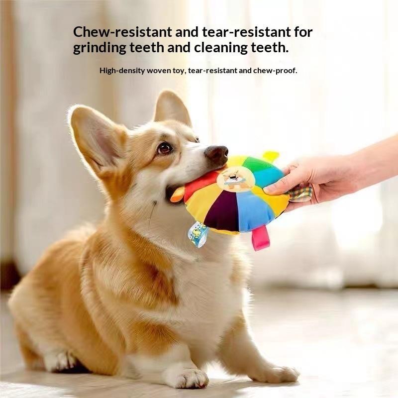ของเล่นสุนัขแบบมีเสียง บีบได้  - Flying Disc Dog Training Toy บทวิจารณ์และราคา