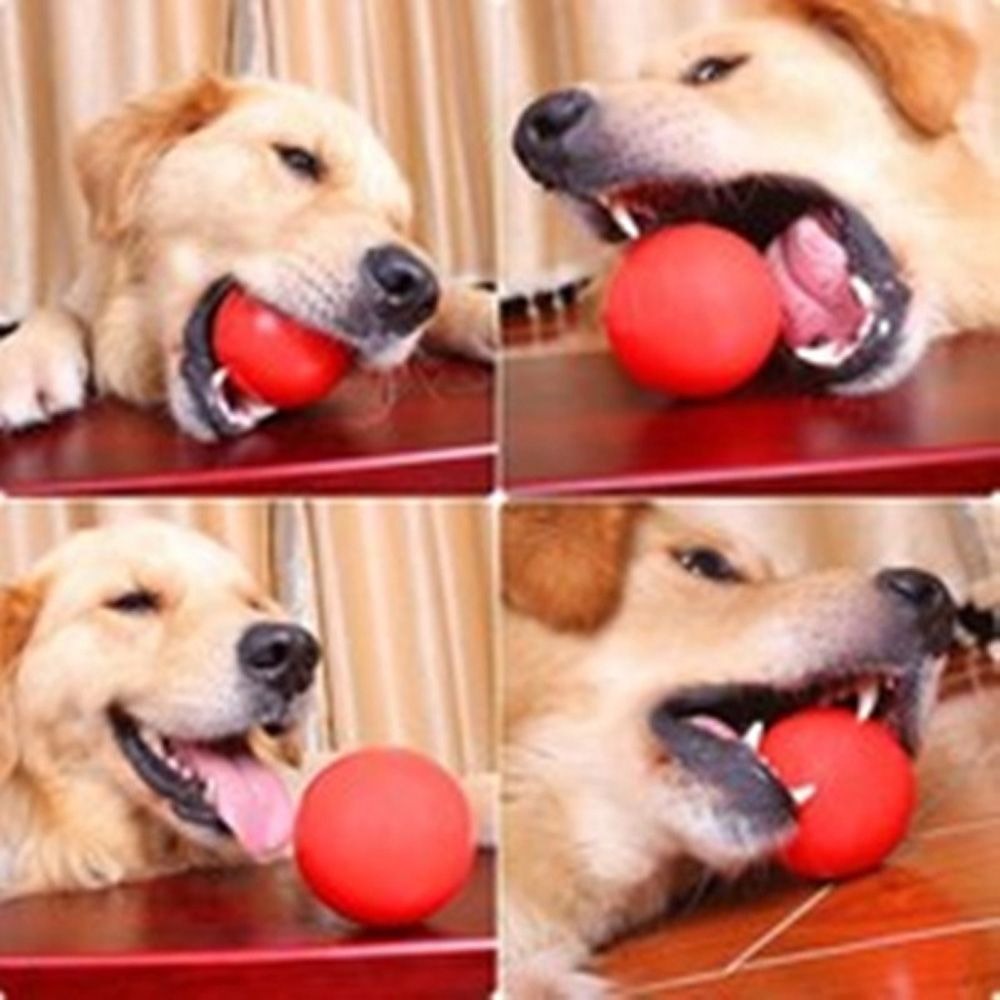 ลูกบอลยางแข็งฝึกสุนัขลูกบอลเด้ - Indestructible Dog Chew Toy บทวิจารณ์และราคา