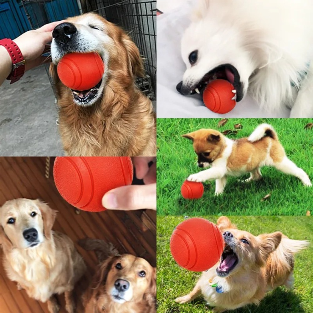 ลูกบอลยางแข็งฝึกสุนัขลูกบอลเด้ - Indestructible Dog Chew Toy บทวิจารณ์และราคา