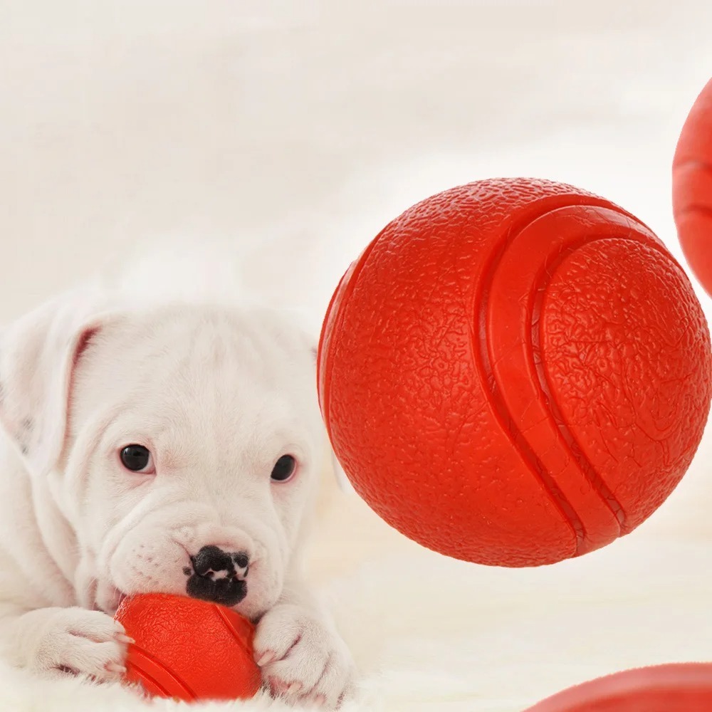 ลูกบอลยางแข็งฝึกสุนัขลูกบอลเด้ - Indestructible Dog Chew Toy บทวิจารณ์และราคา