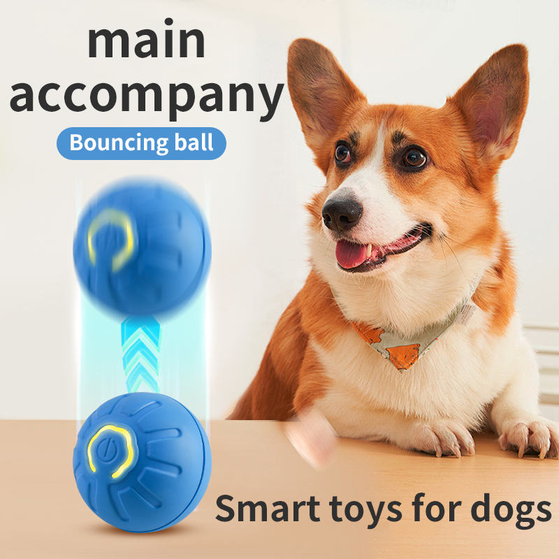 ลูกบอลของเล่นสุนัขเคลื่อนที่อั - Automatic Moving Dog Ball บทวิจารณ์และราคา
