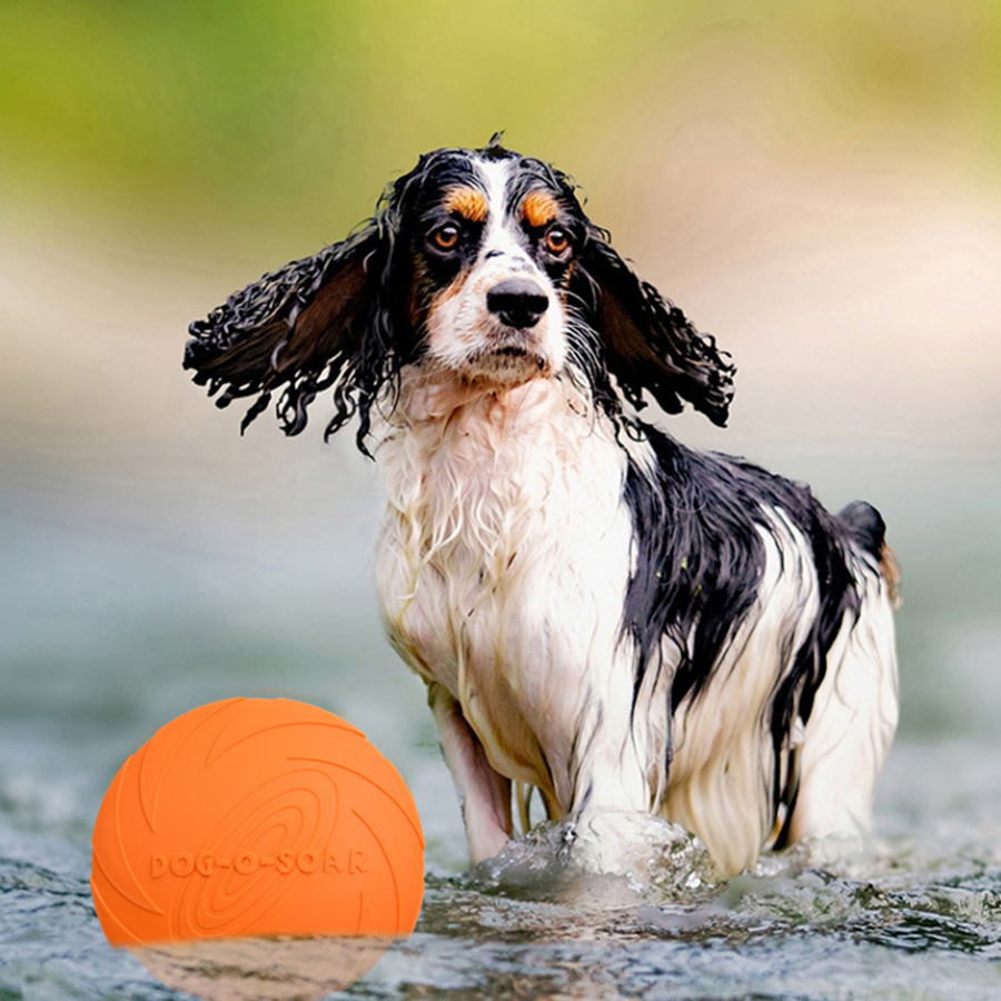 ของเล่นจานร่อนสำหรับสุนัขพันธุ - Flying Disc Dog Training Toy บทวิจารณ์และราคา
