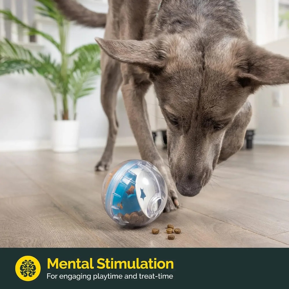 IQ Treat Ball ของเล่นสุนัขแบบจ - Dog Puzzle Feeder Toy บทวิจารณ์และราคา